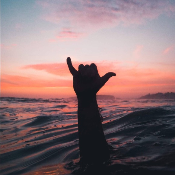 Meet your Posher, Bob - Picture 5 of 5